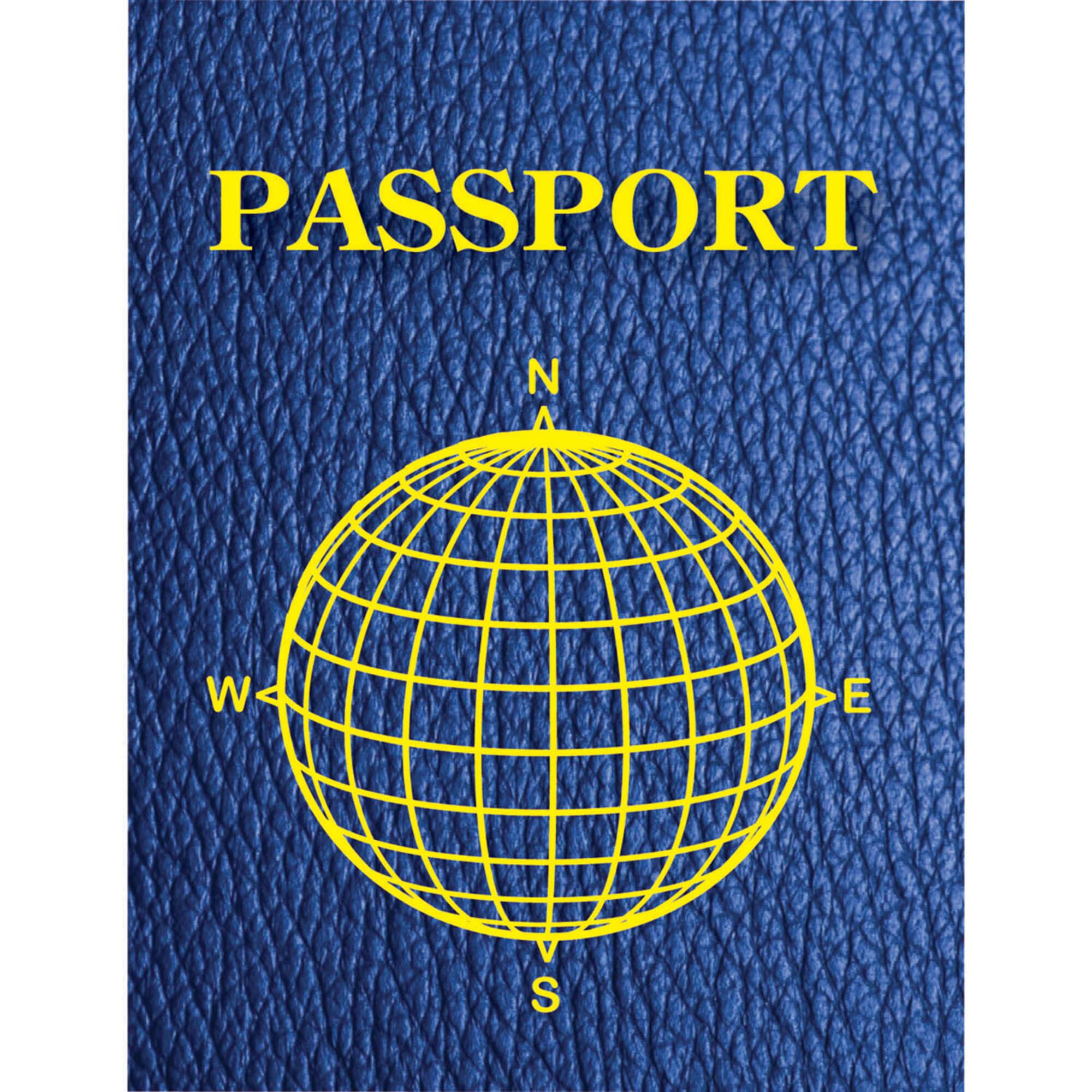 Ashley Productions Blank Passports, 12 Per Pack, 3 Packs